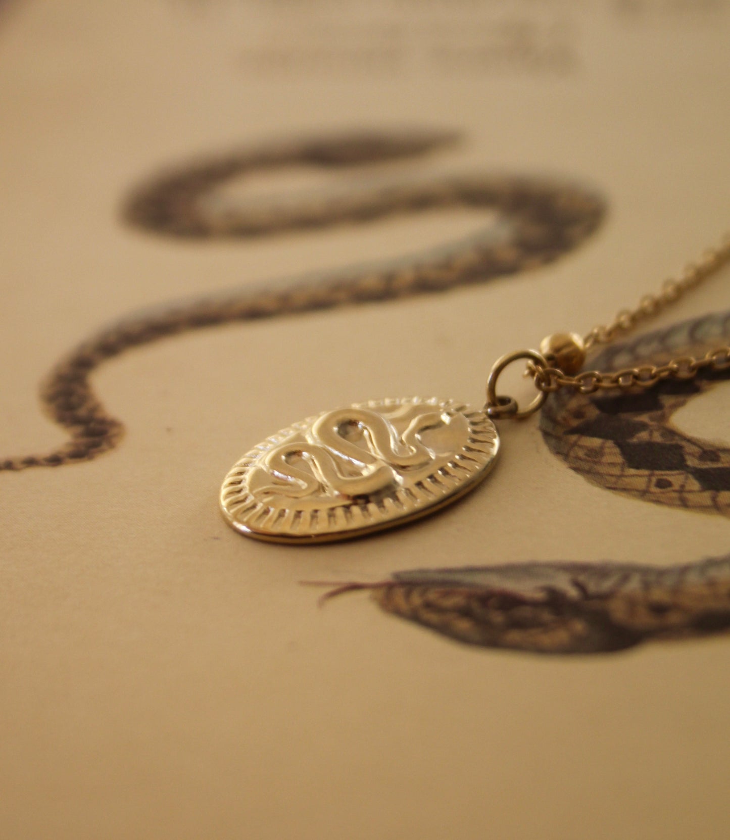 Snake Medallion
