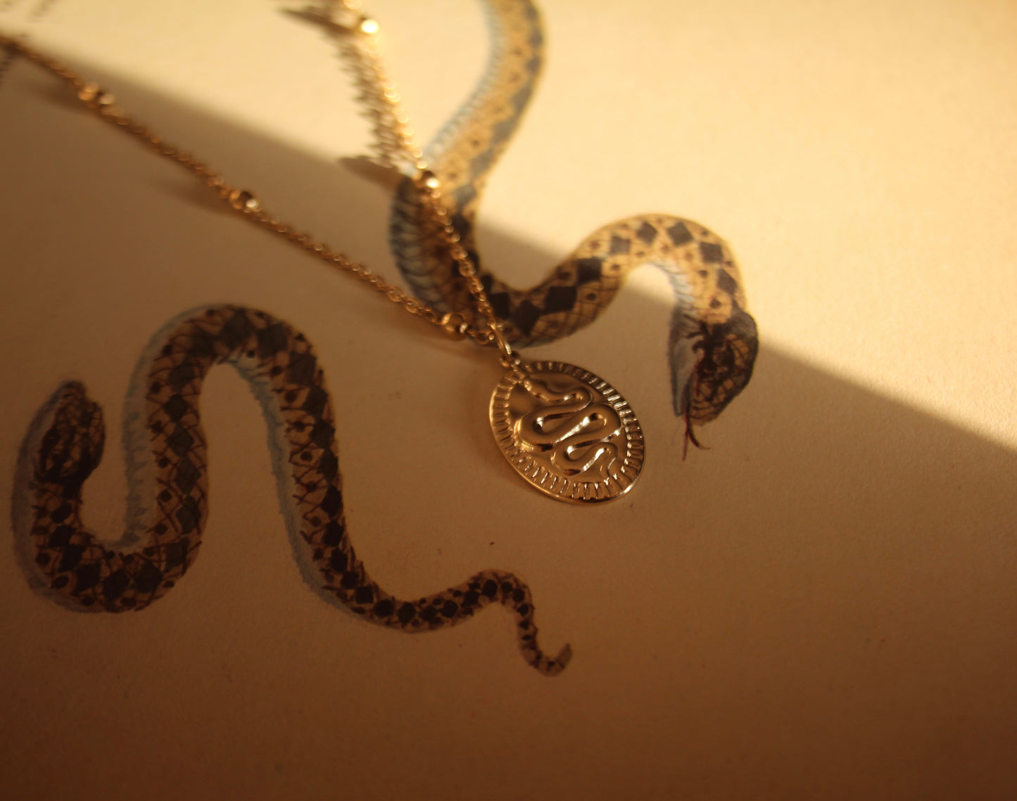 Snake Medallion