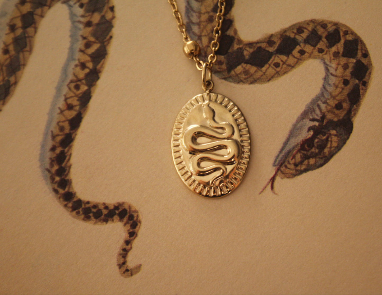 Snake Medallion