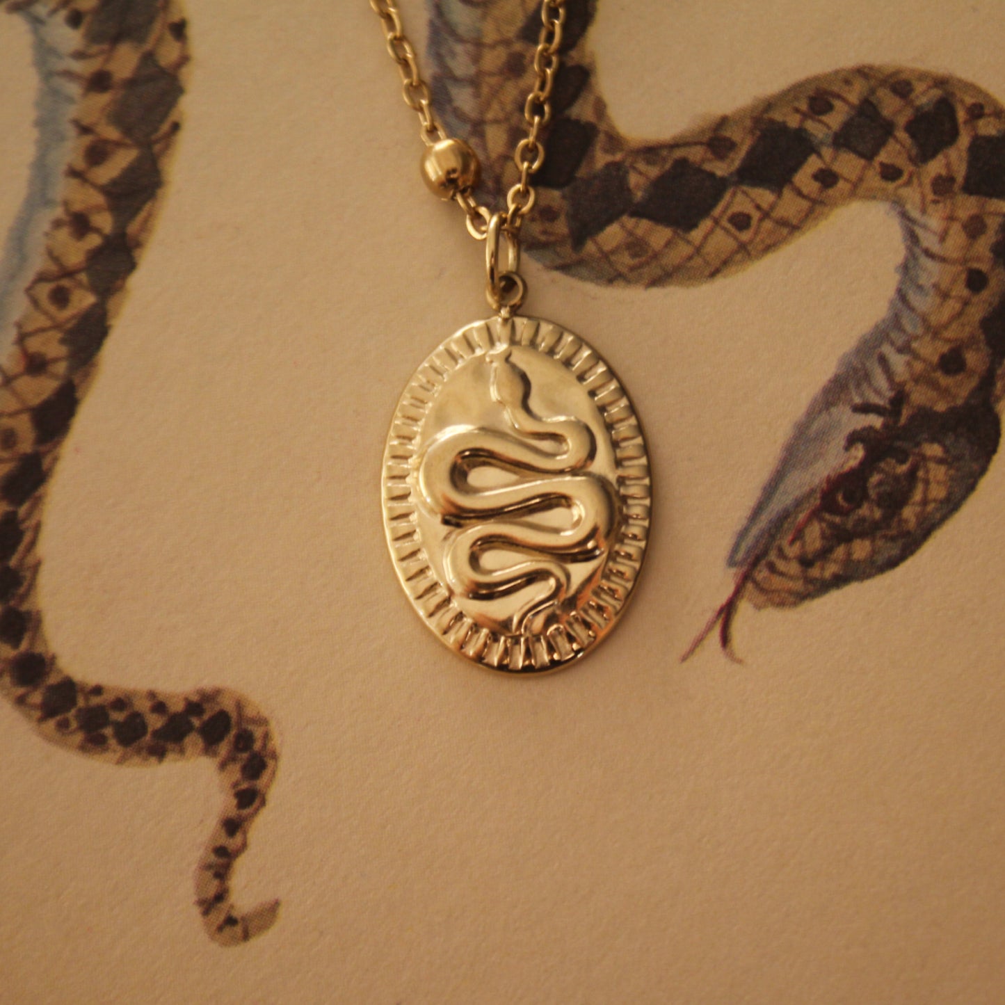 Snake Medallion