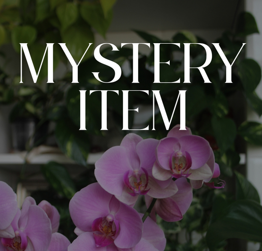 Mystery item