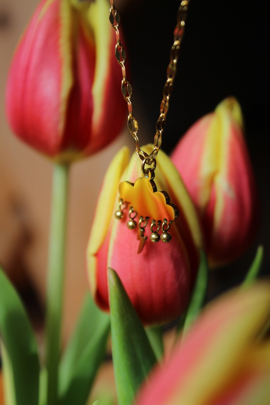 No rain no flowers necklace