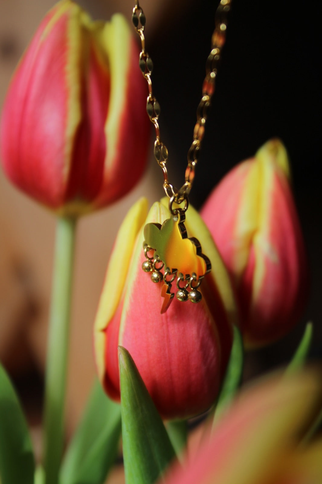 No rain no flowers necklace